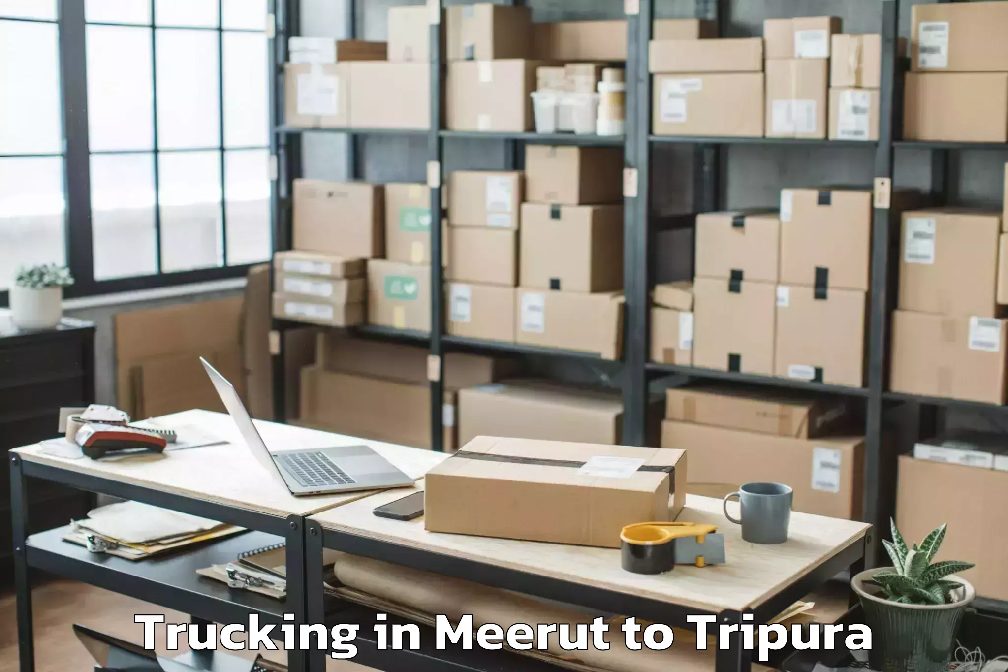 Book Meerut to Dukli Trucking